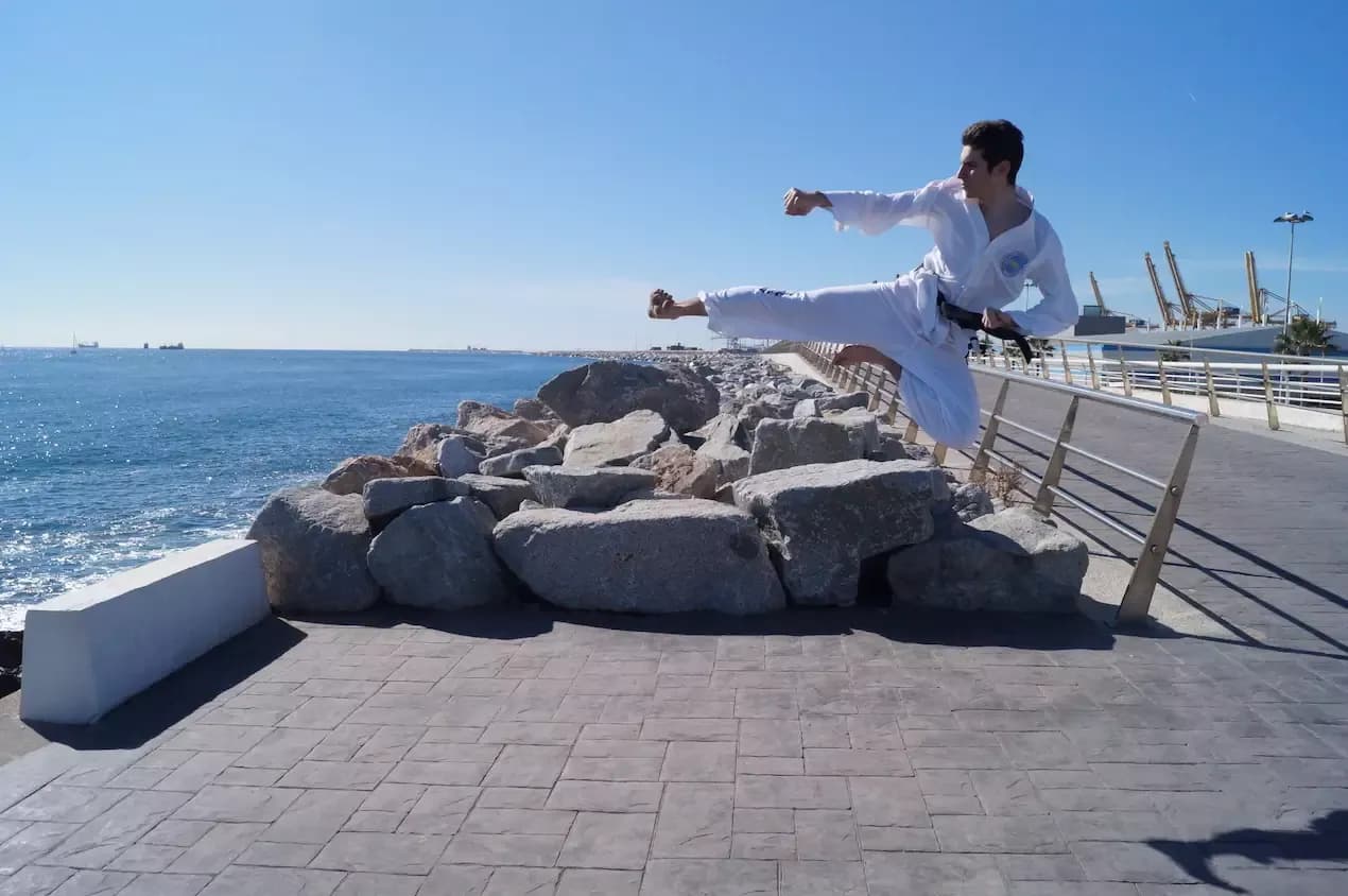 Siluetas de Taekwon-Do minimalistas